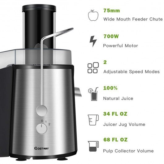 2 Speed Electric Juice Press for Fruit and Vegetable